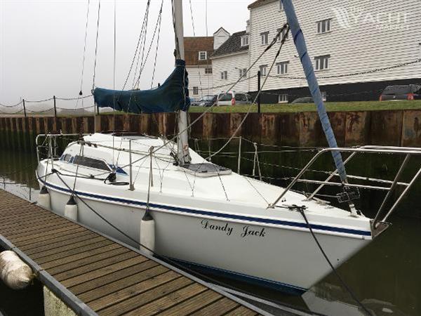 Hunter Horion 27 T/K