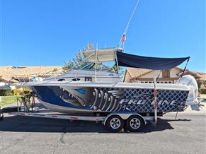 Pro-Line Walkaround 251