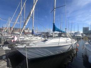 Westerly Regatta 330