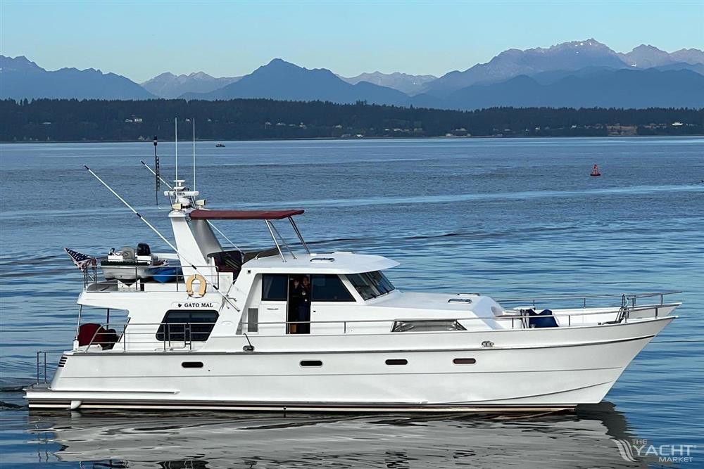 Malcolm Tennant Pachoud Pilothouse Powercat