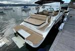 Sea Ray SDX 270