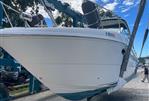 Sea Ray 290 Sundancer