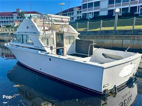 Bertram 28 Flybridge Sportfisherman