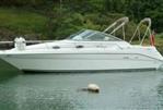 Searay 270
