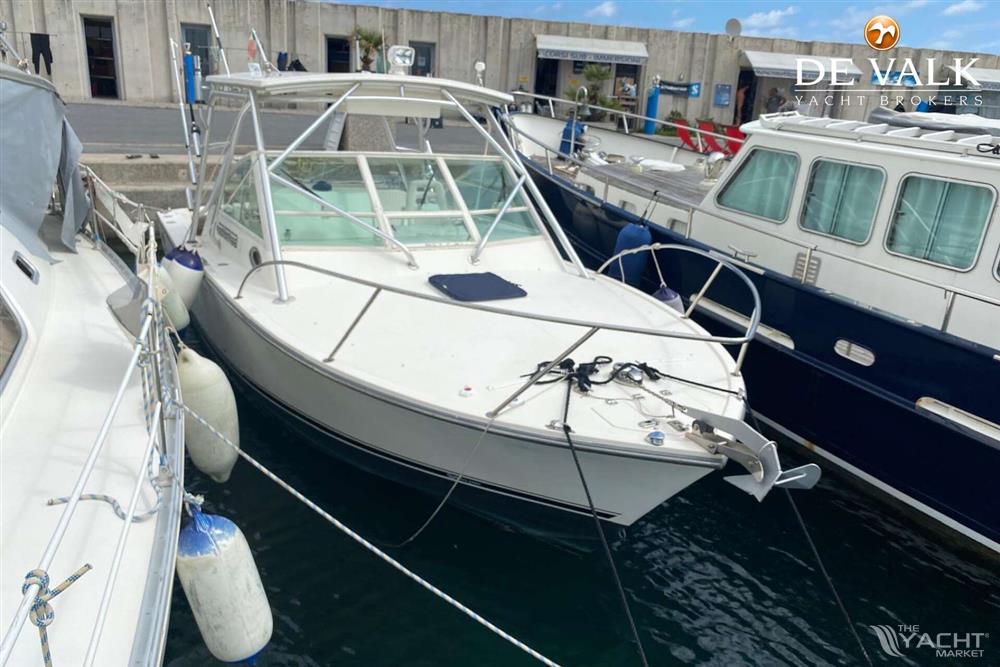 Carolina Classic 28 - Picture 1