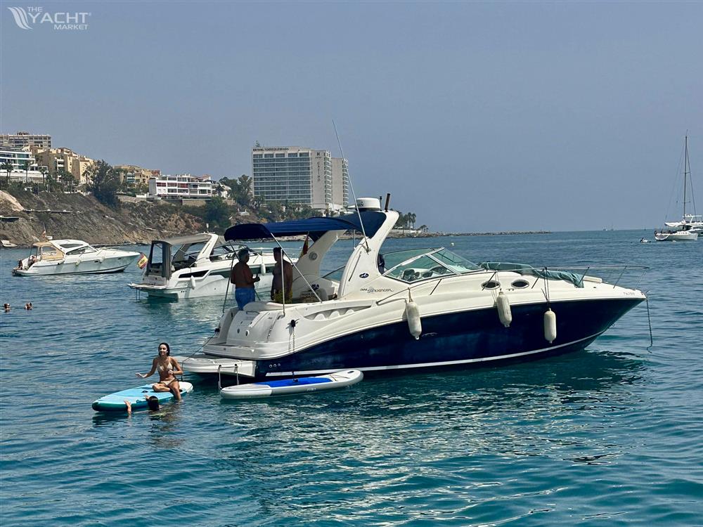 Sea ray 355/320 Sundancer