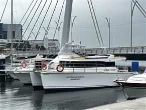 Custom Power Catamaran