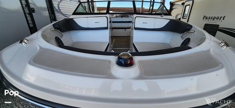 Sea Ray SPX210 - 2016 Sea Ray SPX210 - Photo #1