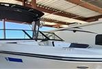 Sea Ray SPX210 - 2016 Sea Ray SPX210 - Photo #3