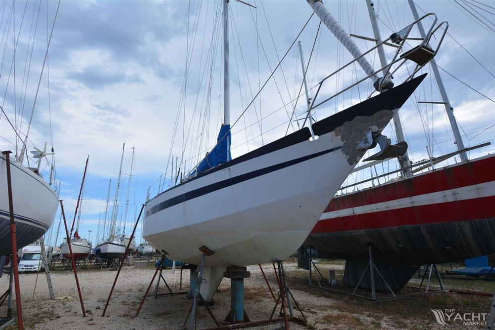 OMN REVE DES TROPIQUES