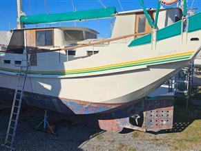 CUSTOM WODYS EASTWIND 68