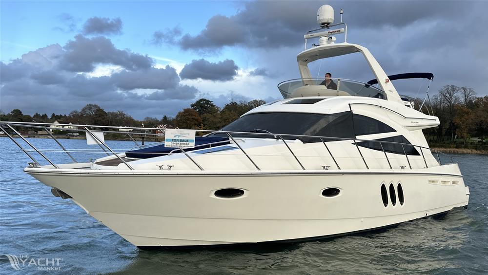 Sealine T50 - Sealine T50 - Overall