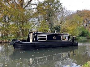 Springer 24' Waterbug Narrowboat