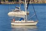 Westerly Oceanranger 38