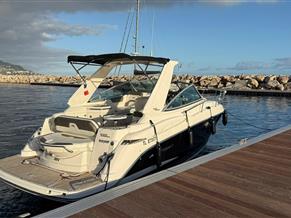 Monterey 295 sportcruiser