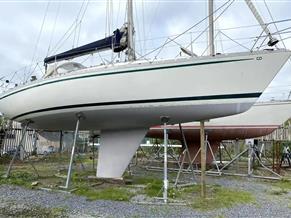 Contessa 34