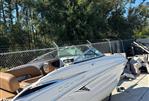 Crownline E235XS - 2023 Crownline E235XS - Photo #5