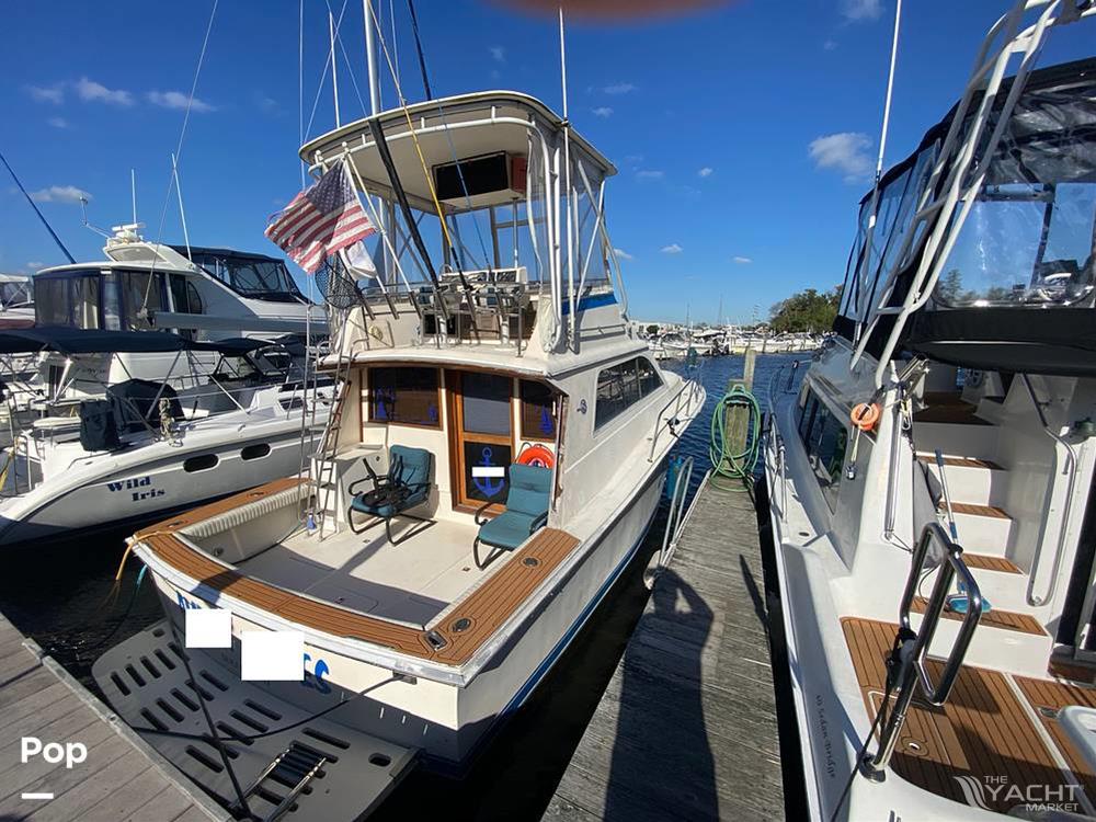 Pacemaker 37 - 1990 Pacemaker 37 - Photo #1