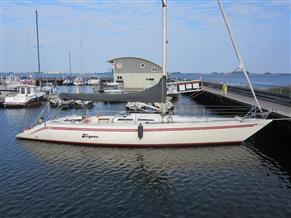 Comfortina Cayenne 42