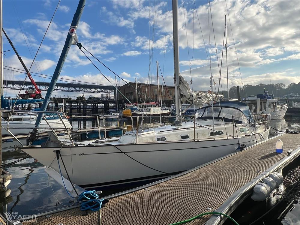 Contessa 32 - PHGK1715