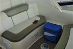 Sea Ray Sundancer 310 - 2007 Sea Ray Sundancer 310 - Photo #3