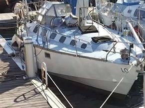 CUSTOM CUSTOM BUILT TRIELEN TRIELEN