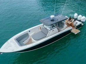 Fishing Raptor 390 Solarium