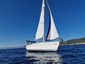 Bavaria 41
