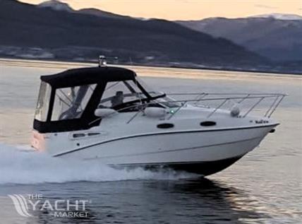 Sealine S23
