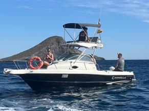 Caravelle Sea Hawk 230 Walk Around