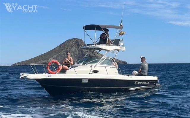 Caravelle Sea Hawk 230 Walk Around