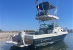 Caravelle Sea Hawk 230 Walk Around
