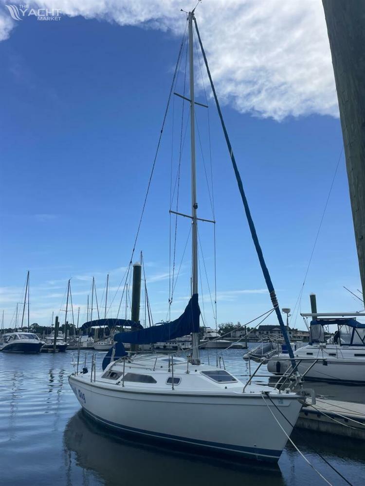 Catalina 270