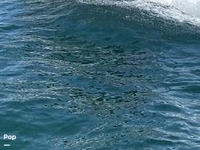 Sea-Doo Switch Cruise 21