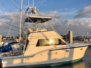 Hatteras 37 convertible