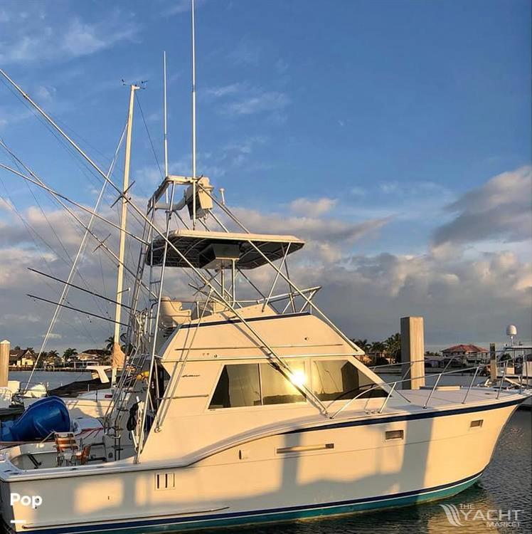 Hatteras 37 convertible - 1978 Hatteras 37 convertible - Photo #1