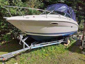 Sea Ray 225 Weekender