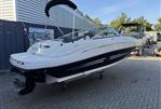 Sea Ray 200 Sundeck