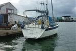 Westerly Falcon 34