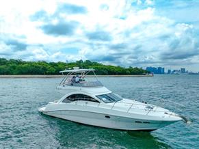 Sea Ray 47 Sedan Bridge