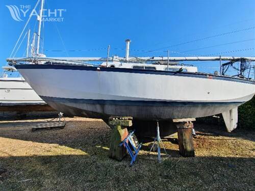 Classic Yacht Classic Kliever 11