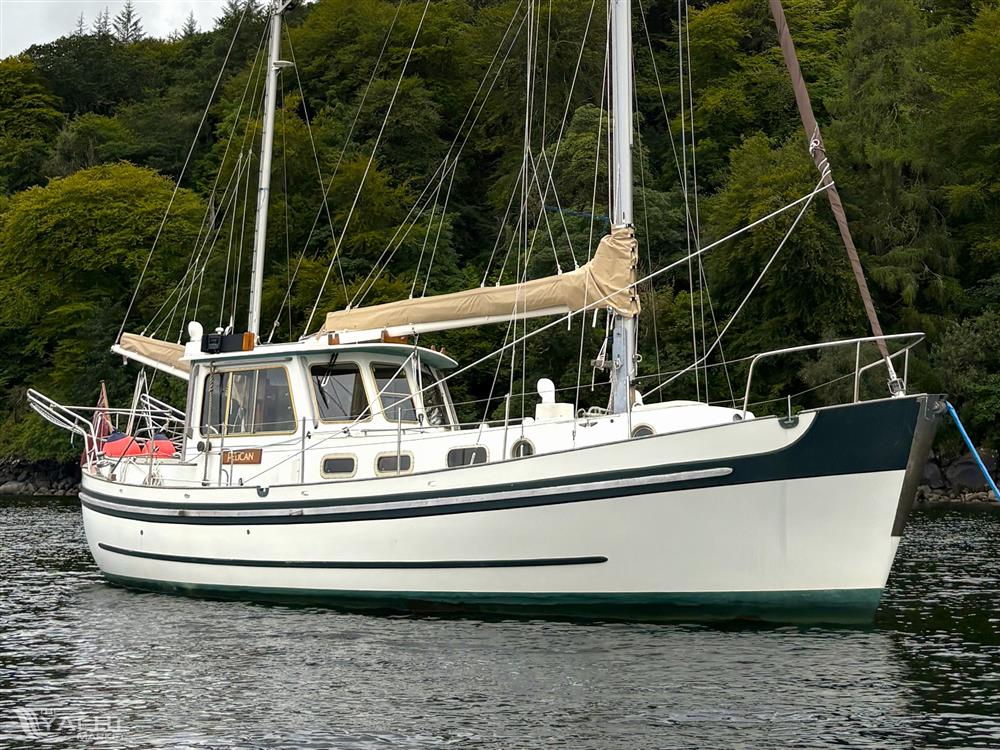 Banjer 37 - 1971 Banjer 37 - PELICAN