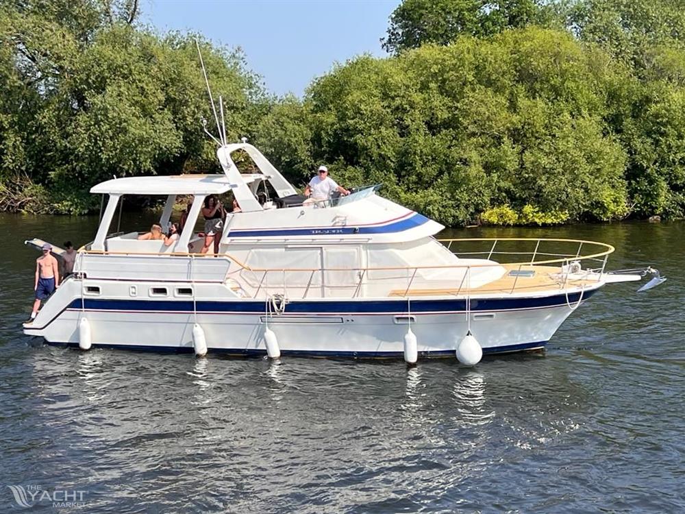 Trader 445 Signature