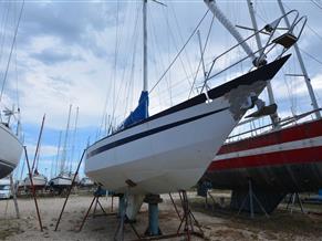 OMN DI COLAN  MARCO REVE DES TROPIQUES