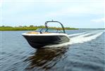 Bayliner V20