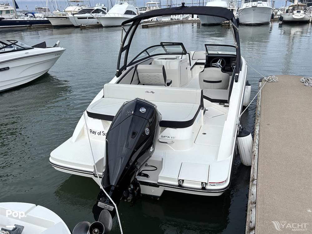 Sea Ray SPX 210 OB - 2025 Sea Ray SPX 210 OB - Photo #1