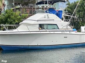 Bertram Sportfisherman