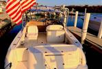 Sea Ray 290 Amberjack - 2005 Sea Ray 290 Amberjack