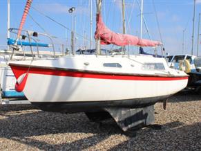 Vivacity Vivacity 650