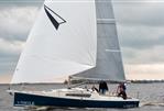 Pointer 30